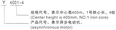 西安泰富西玛Y系列(H355-1000)高压YE2-315S-10三相异步电机型号说明